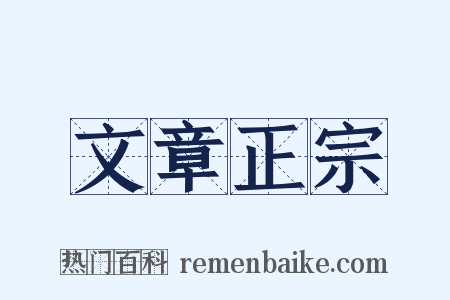 文章正宗是什么意思的图片